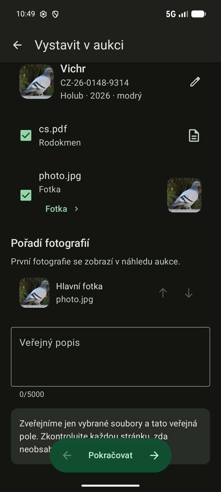 Český průvodce aukcí PigeonTree s vybranými fotografiemi a rodokmenem