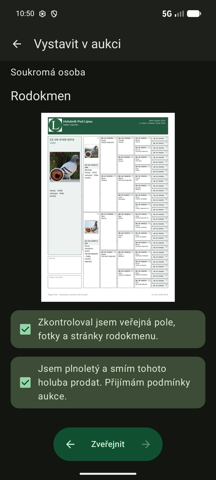 Český veřejný náhled aukce PigeonTree před zveřejněním