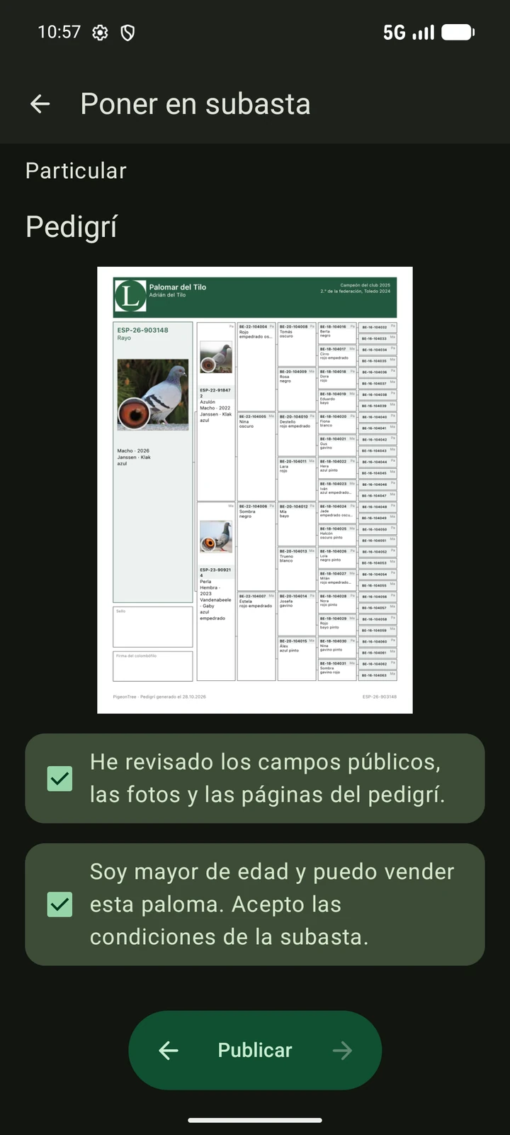 Vista previa pública en español de una subasta PigeonTree antes de publicar