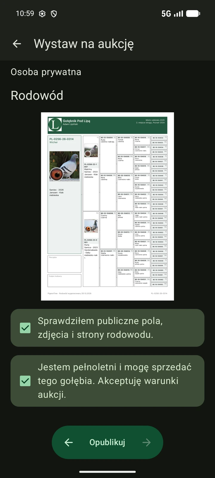 Polski podgląd publicznej aukcji PigeonTree przed publikacją