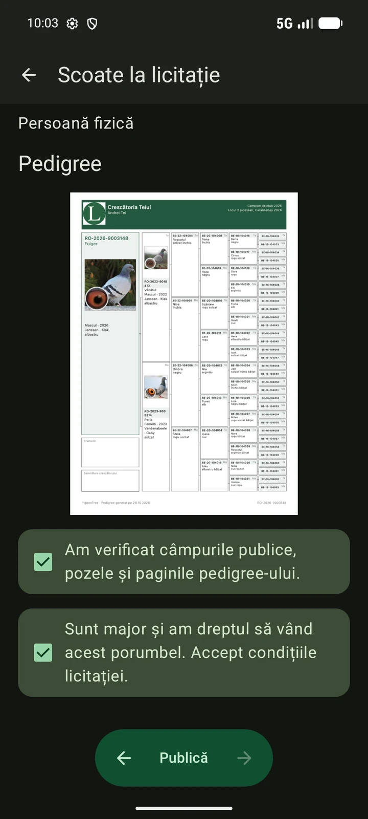 Previzualizarea publică în română a unei licitații PigeonTree înainte de publicare
