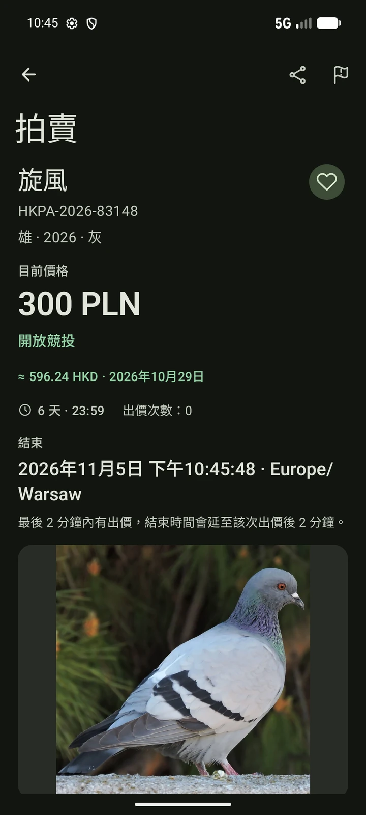 香港繁體中文的 PigeonTree 拍賣詳情,包含鴿隻相片、腳環號碼與出價條件