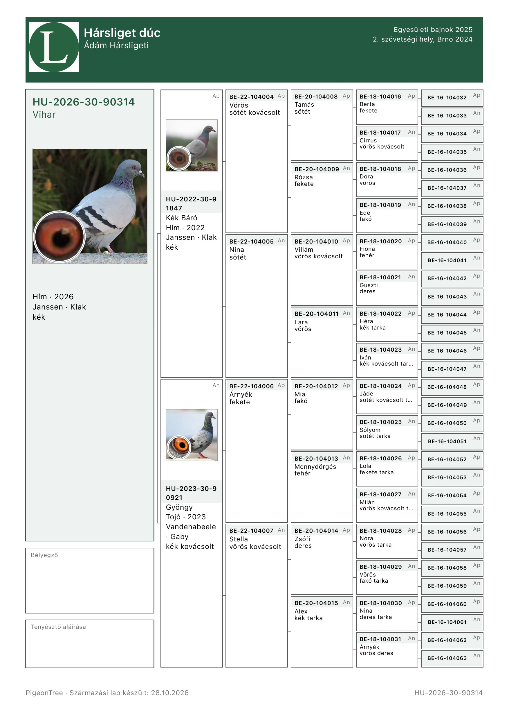 A PigeonTree alkalmazásból exportált, kitöltött hatgenerációs származási lap
