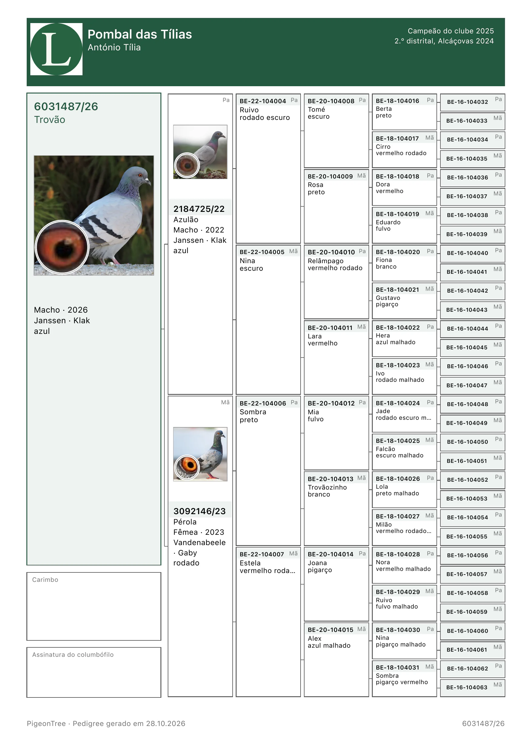 Pedigree completo de seis gerações exportado pelo PigeonTree