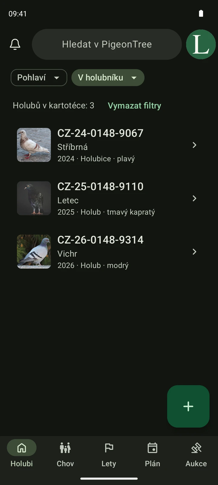 Skutečná obrazovka holubníku PigeonTree s fotografiemi holubů, čísly kroužků a vyhledáváním.