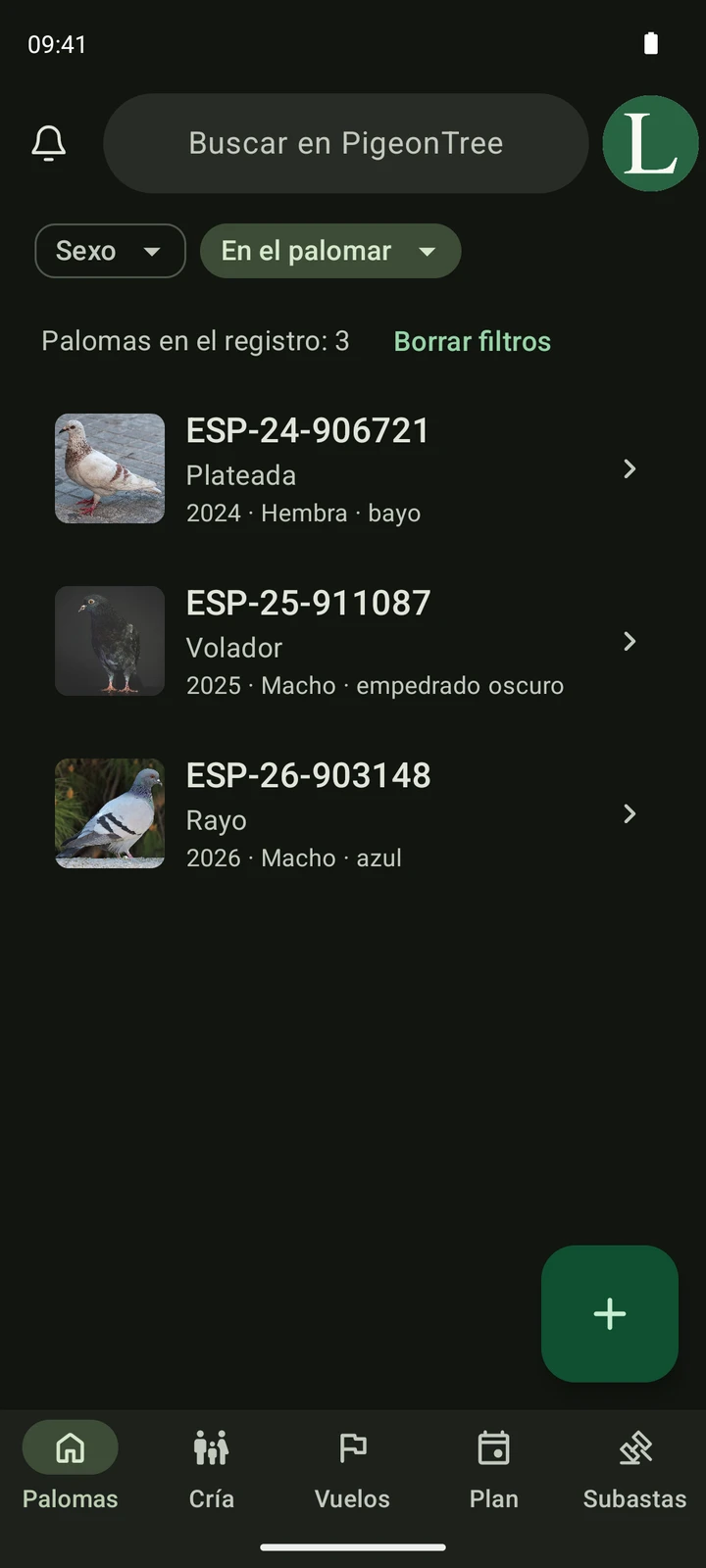 Pantalla real del palomar de PigeonTree con fotografías de palomas, números de anilla y búsqueda.