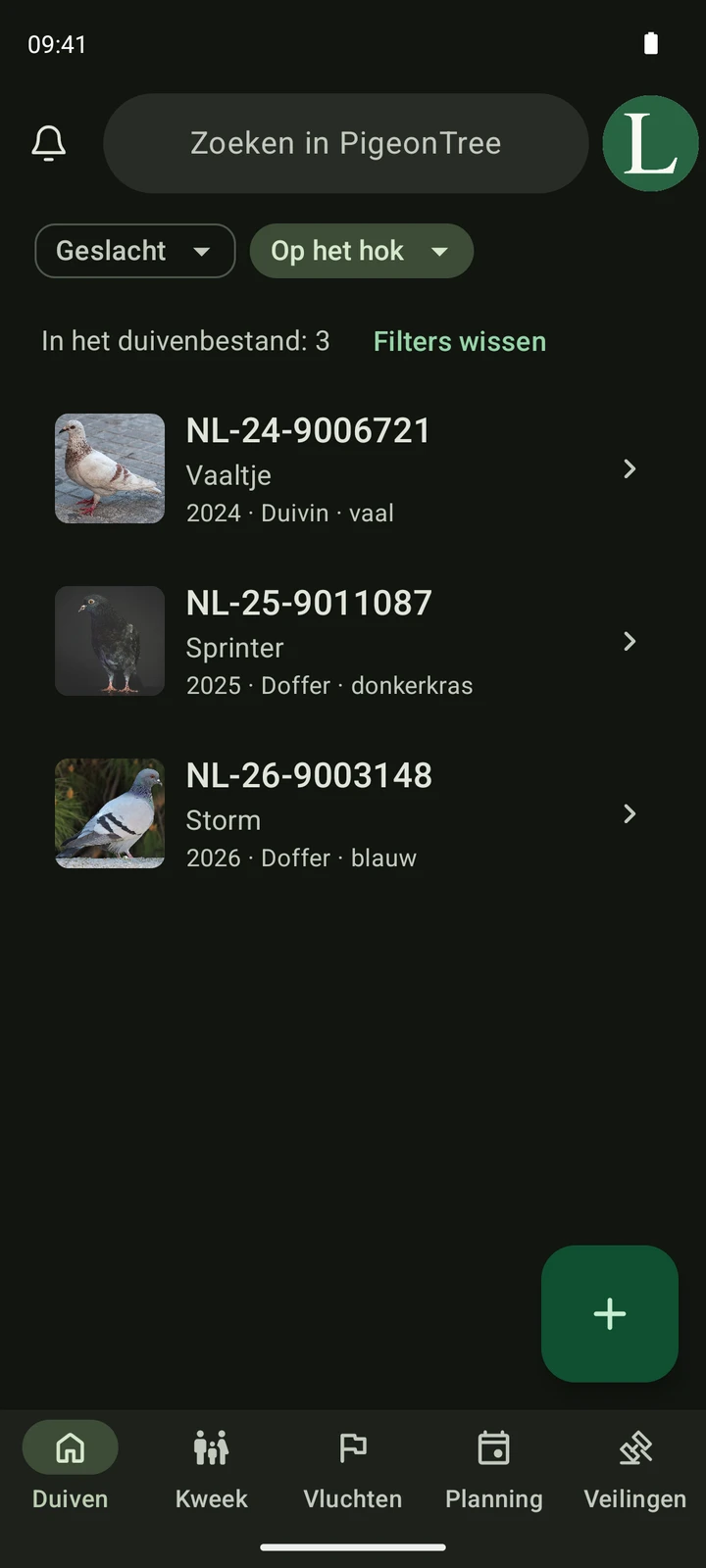 Echt duivenoverzicht in PigeonTree met foto’s, ringnummers en zoeken.