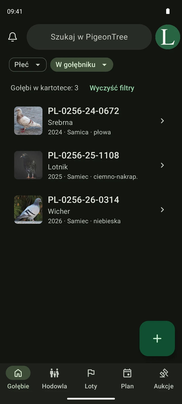 Rzeczywista kartoteka PigeonTree ze zdjęciami gołębi, numerami obrączek i wyszukiwaniem.