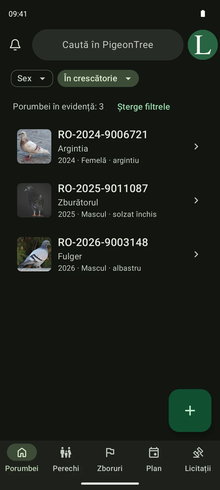 Ecran real al crescătoriei PigeonTree cu fotografii ale porumbeilor, numere de inel și căutare.
