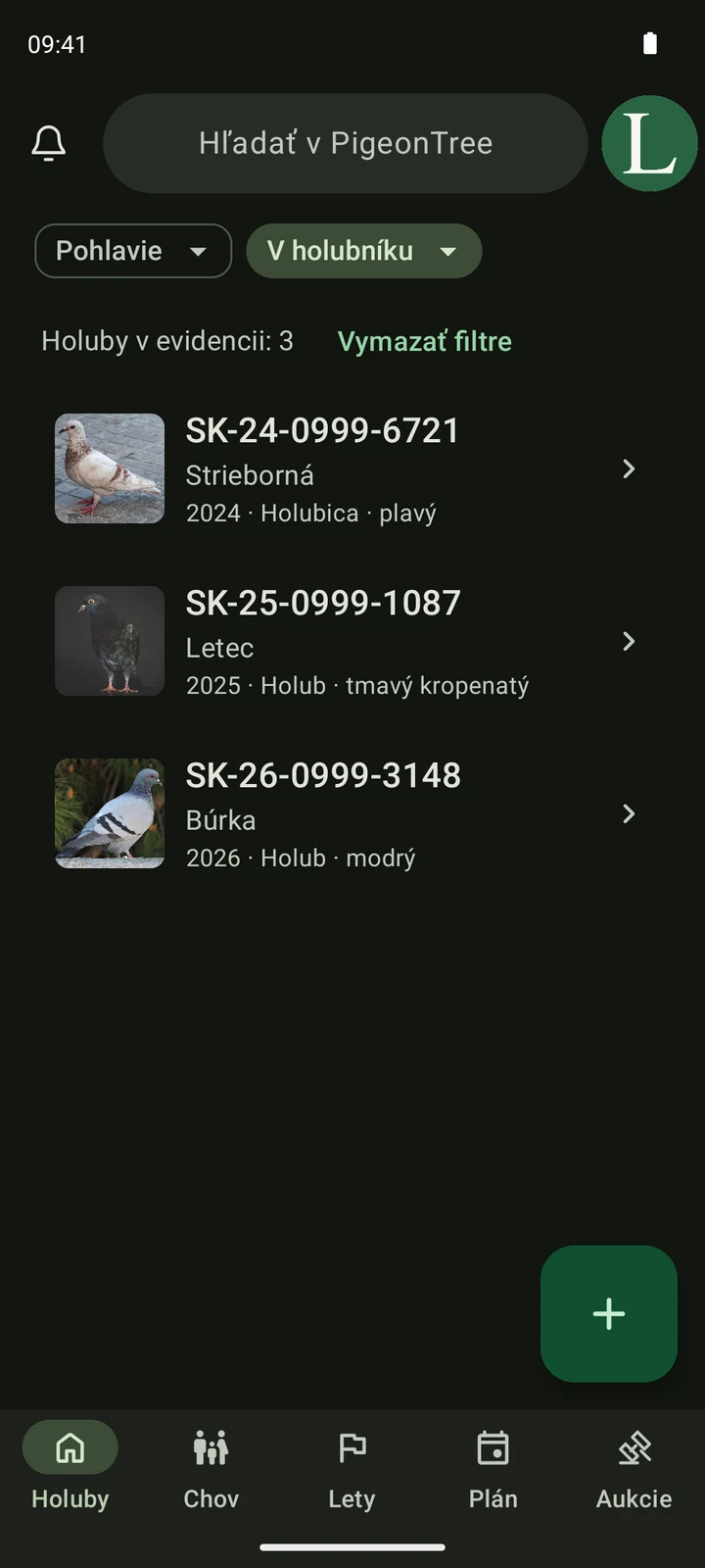 Skutočná obrazovka holubníka PigeonTree s fotografiami holubov, číslami krúžkov a vyhľadávaním.