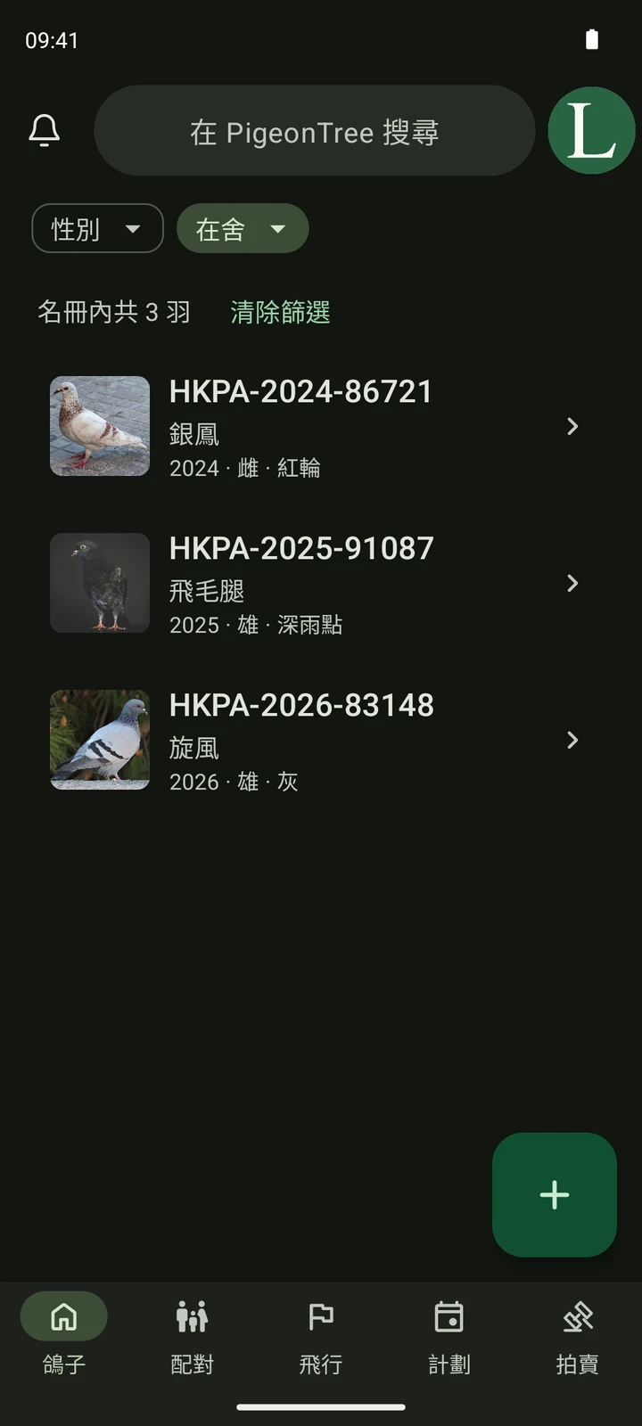 PigeonTree 的真實鴿舍畫面,包含賽鴿相片、足環編號及搜尋功能。