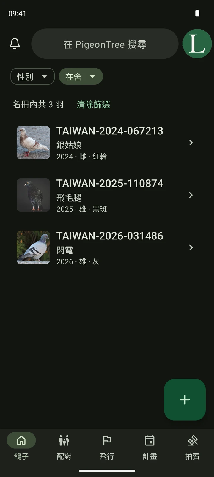 PigeonTree 的真實鴿舍畫面,包含賽鴿照片、腳環號碼及搜尋功能。